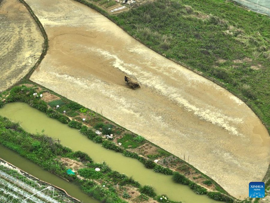 Cina: agricoltori impegnati nella coltivazione primaverile