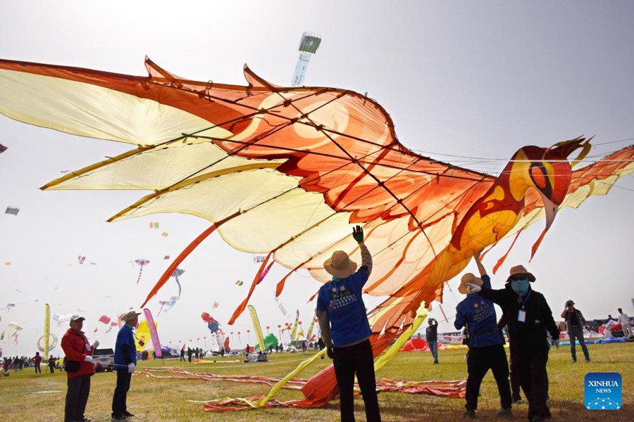 Le persone provano a far volare un aquilone a forma di fenice durante il 40° Weifang International Kite Festival. (15 aprile 2023 – Xinhua/Li Ziheng)