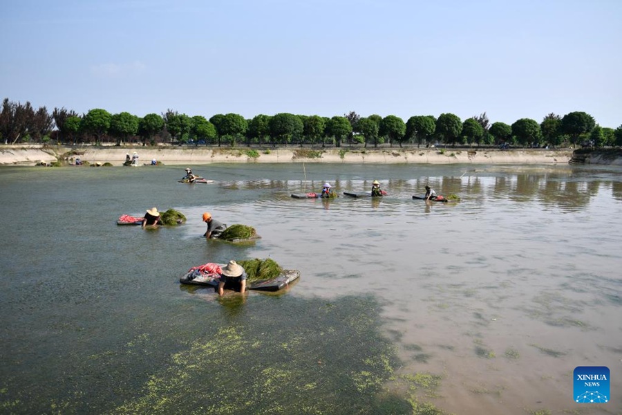 Hunan: il lago Datong vede significativi miglioramenti ambientali ed economici