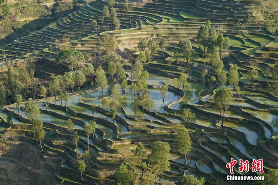 Yunnan, paesaggi pittoreschi delle terrazze di riso Hani