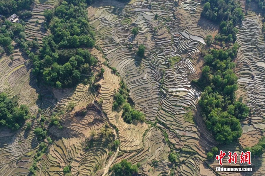 Yunnan, paesaggi pittoreschi delle terrazze di riso Hani