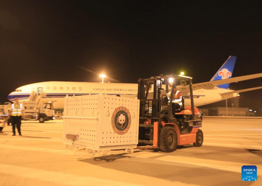 La panda gigante Ya Ya arriva a Beijing, capitale della Cina, a bordo di un aereo charter. (28 maggio 2023 - Wang Hanqi/Xinhua)