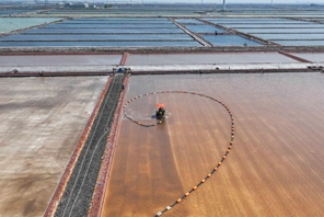 Lavori estivi nelle saline