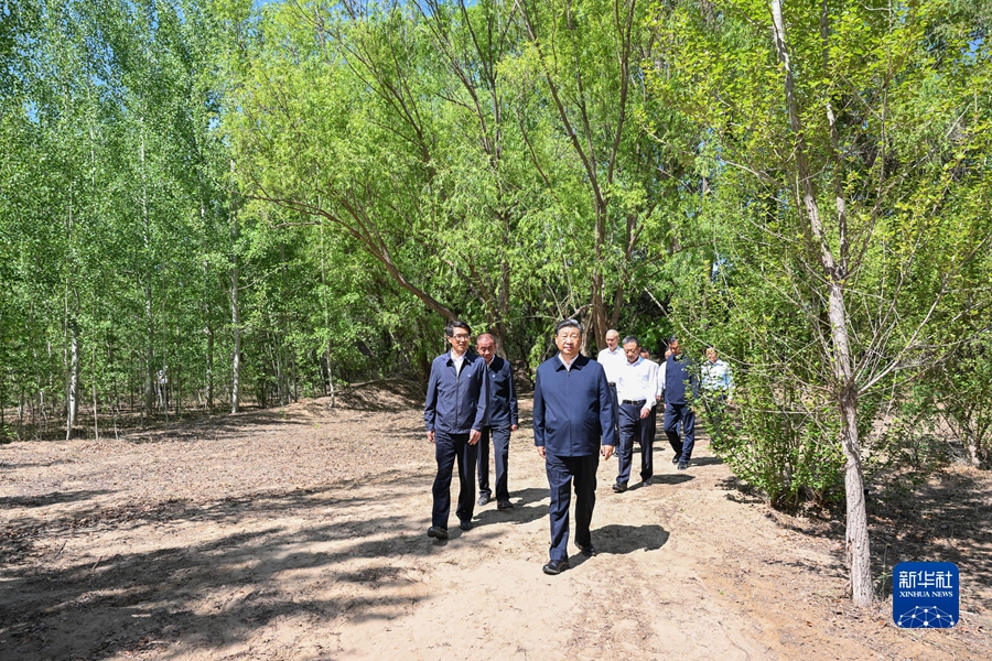 Bayan Nur, Xi Jinping presiede un simposio sulla prevenzione e controllo della desertificazione