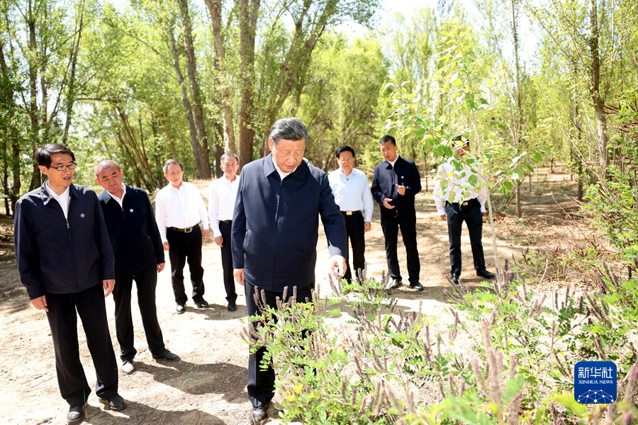 Bayan Nur, Xi Jinping presiede un simposio sulla prevenzione e controllo della desertificazione