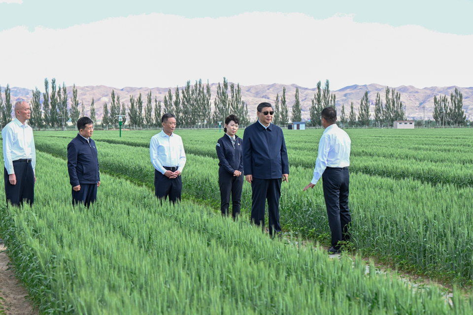 Bayan Nur, Xi Jinping presiede un simposio sulla prevenzione e controllo della desertificazione