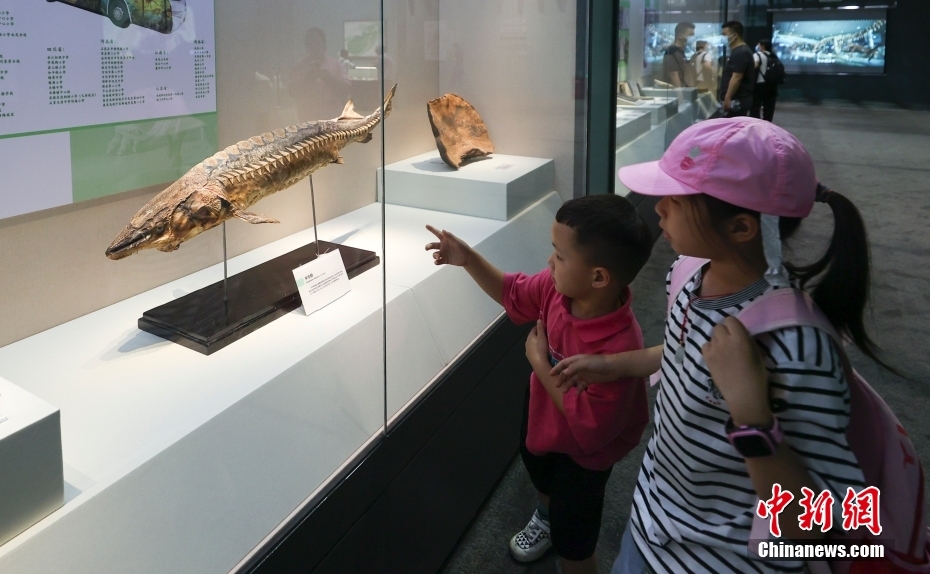 Aperta al pubblico la mostra delle collezioni selezionate dal Museo Nazionale di Storia Naturale