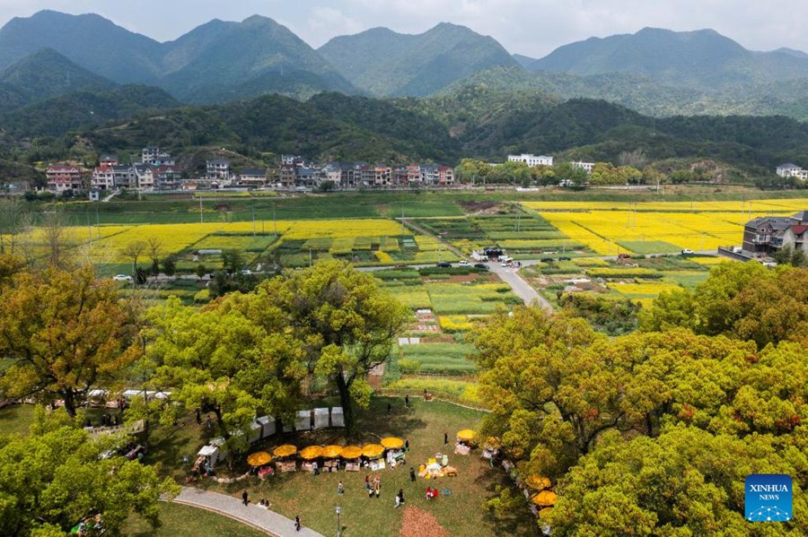 Zhejiang: programma di rilancio rurale verde per migliorare l'ambiente di vita