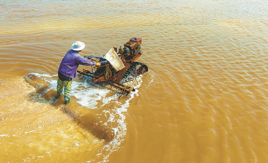 Estrazione primaverile nelle saline dello Hebei