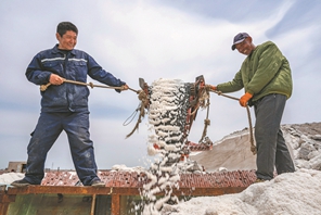 Estrazione primaverile nelle saline dello Hebei