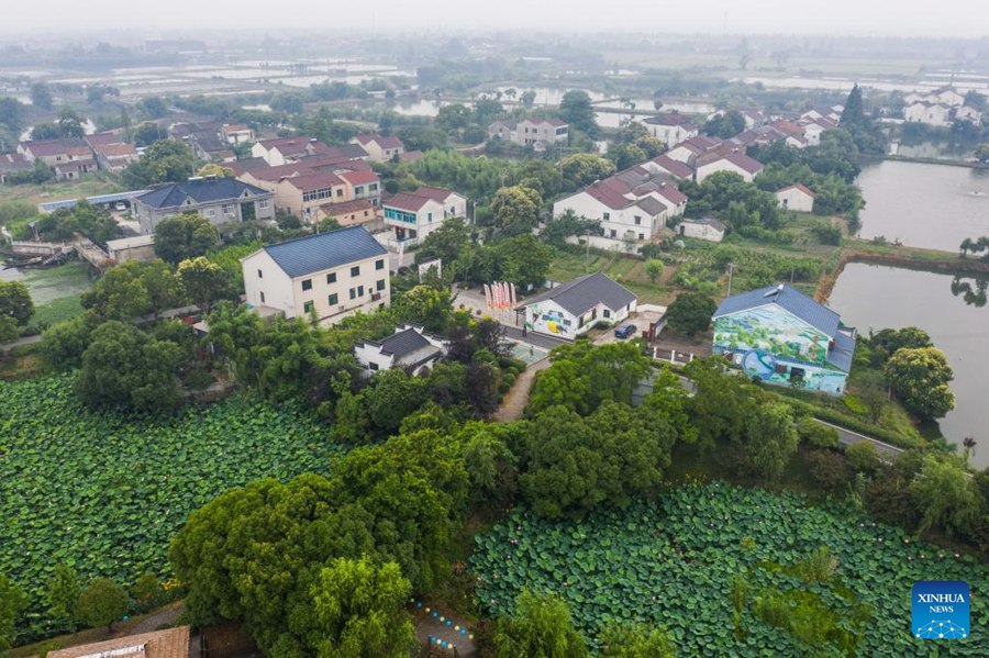 Zhejiang si concentra sullo sviluppo verde e sostenibile