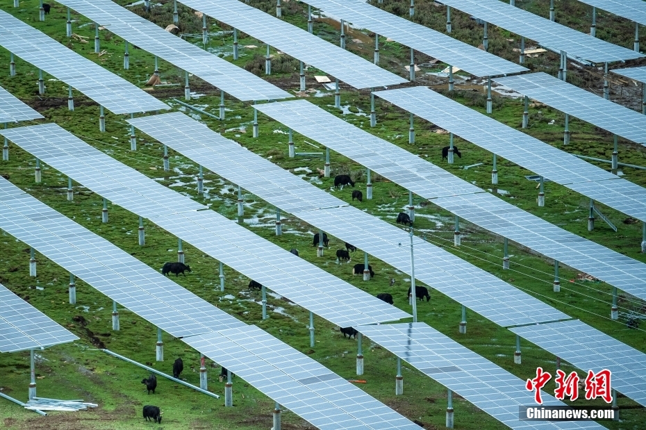 Mega centrale idroelettrica-fotovoltaica cinese entra in funzione