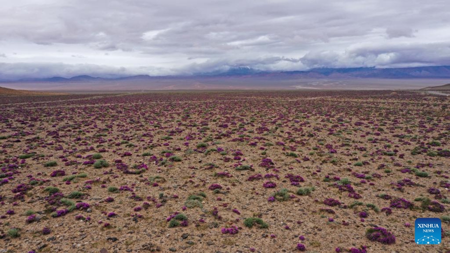 Il meraviglioso scenario della Riserva Naturale Nazionale dei Monti Altun, Xinjiang