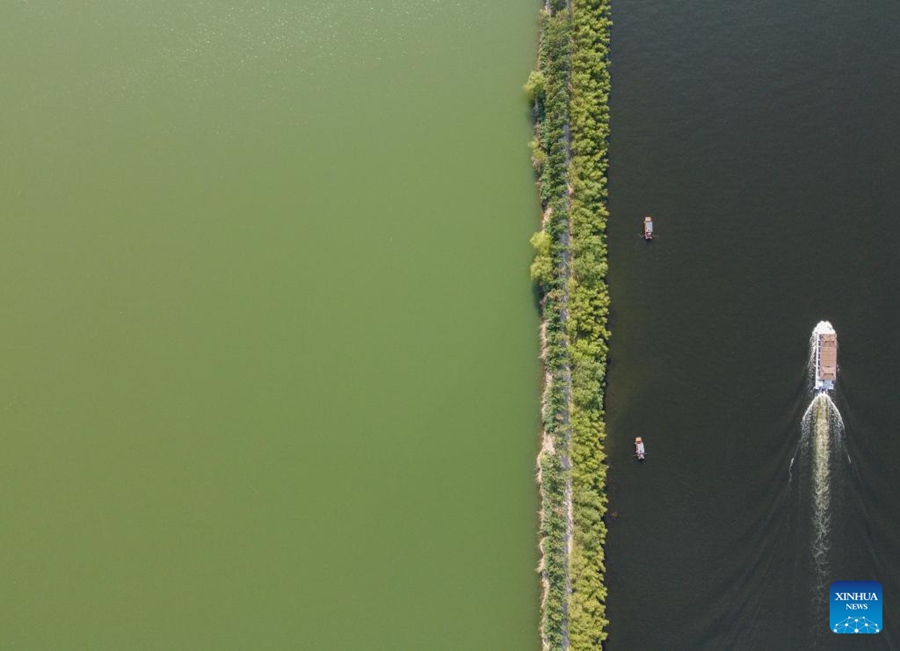 Migliora la qualità dell'acqua del Lago Baiyangdian