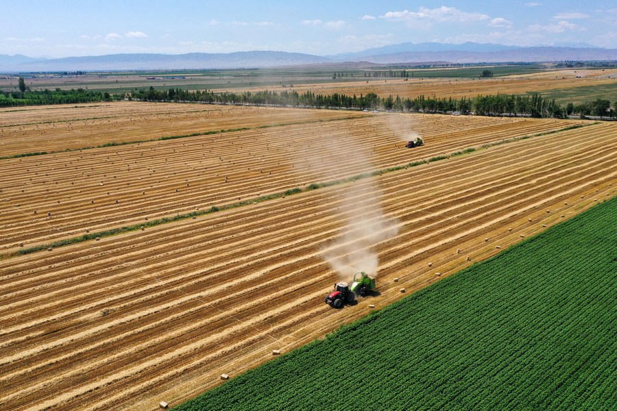 La Cina propone 8 compiti per garantire la sicurezza alimentare