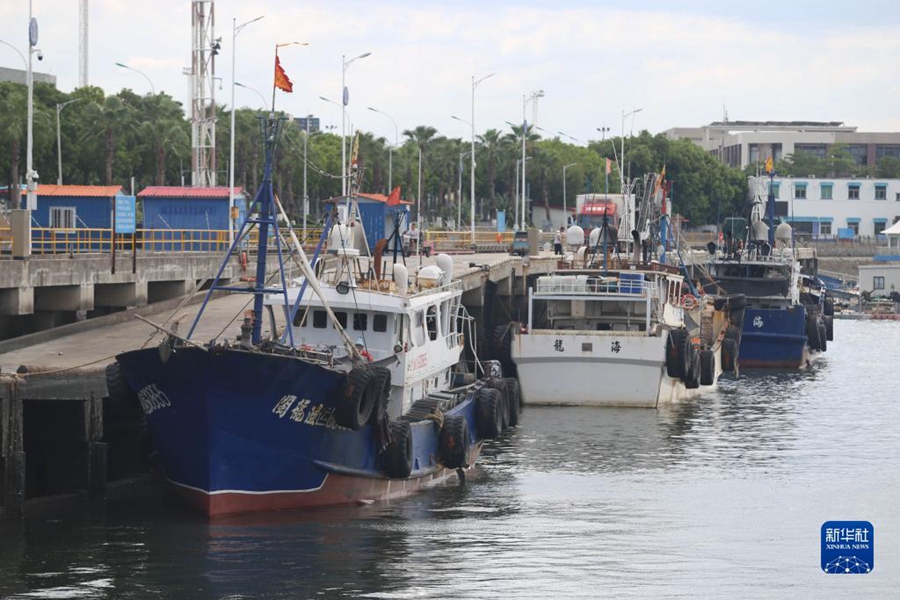 Fujian: pescherecci tornano in porto in vista del tifone Saola