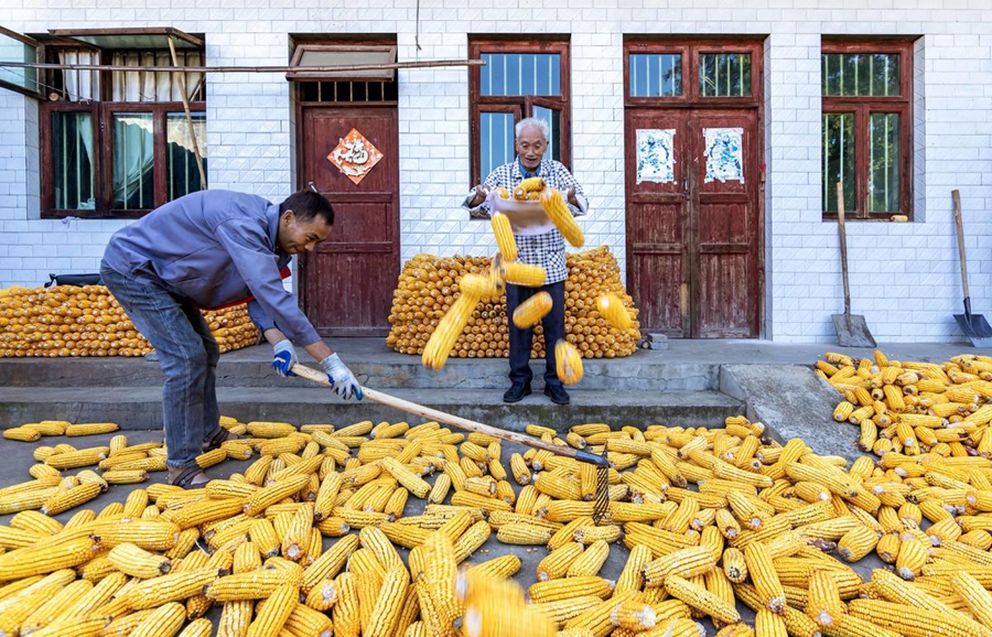 Qianxi, Guizhou: gli agricoltori mettono il raccolto a essiccare