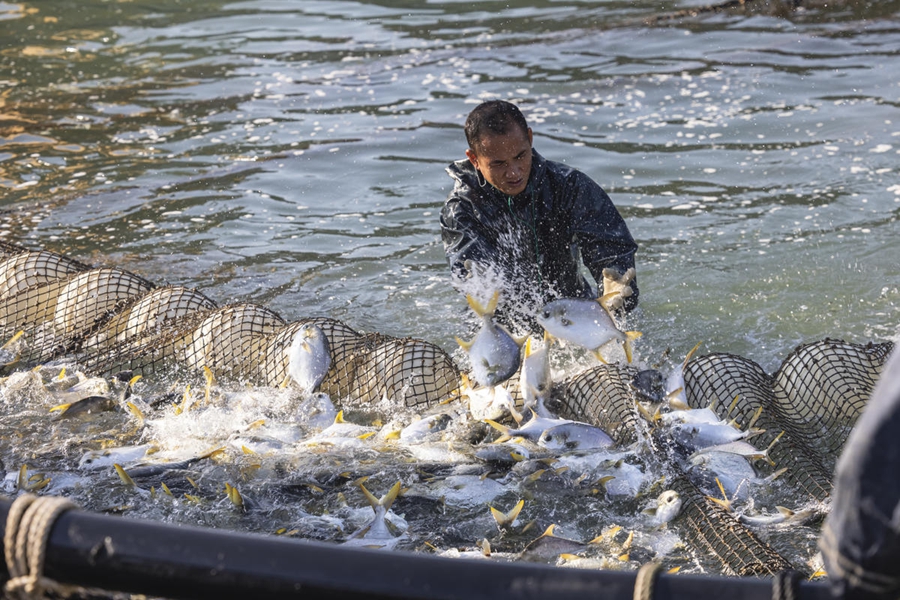 Zhanjiang, Guangdong: arriva la stagione della pesca