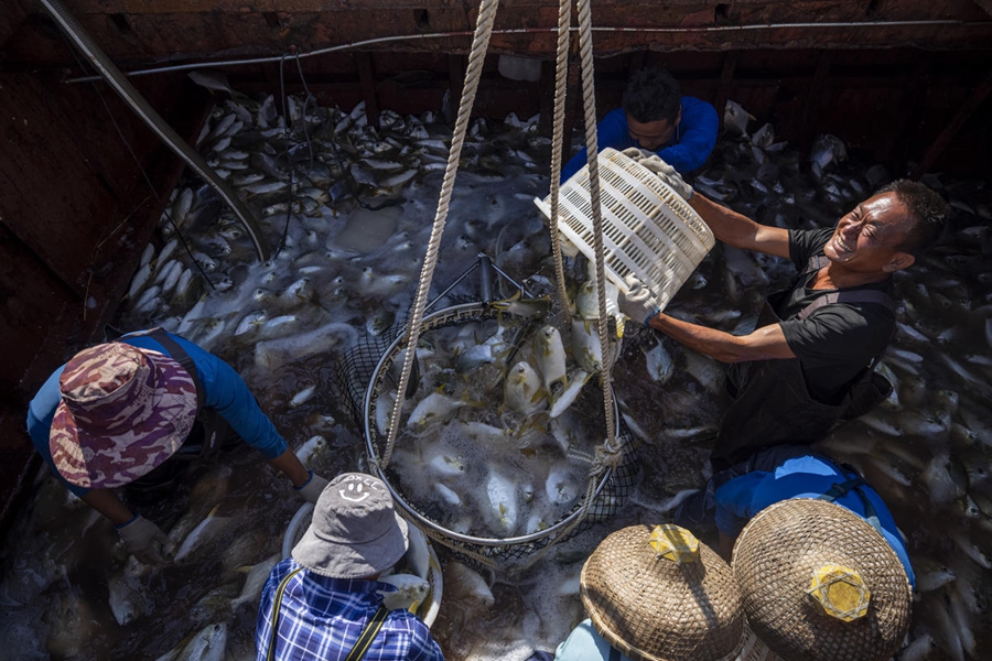 Zhanjiang, Guangdong: arriva la stagione della pesca