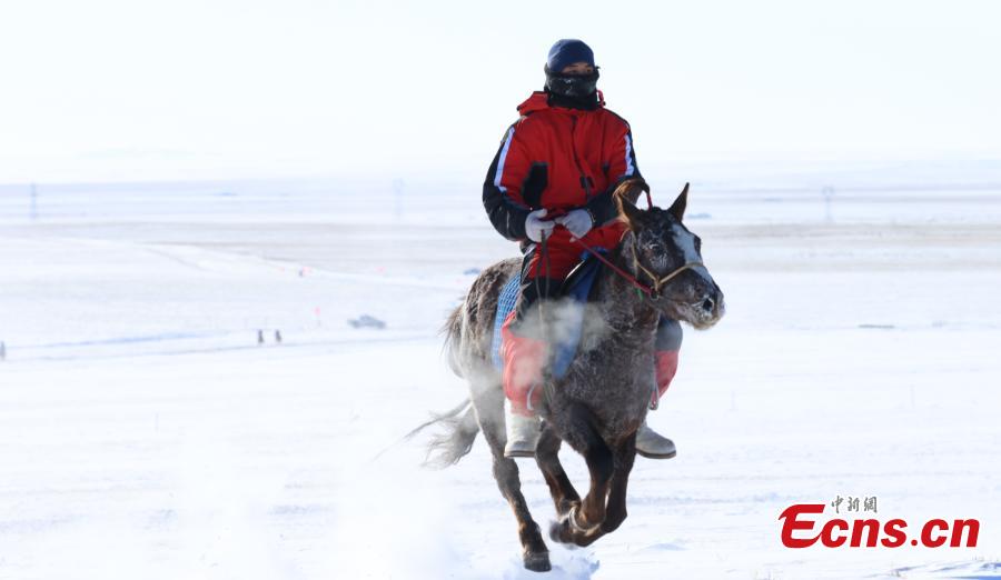 Corsa di cavalli sulle praterie innevate della Mongolia Interna