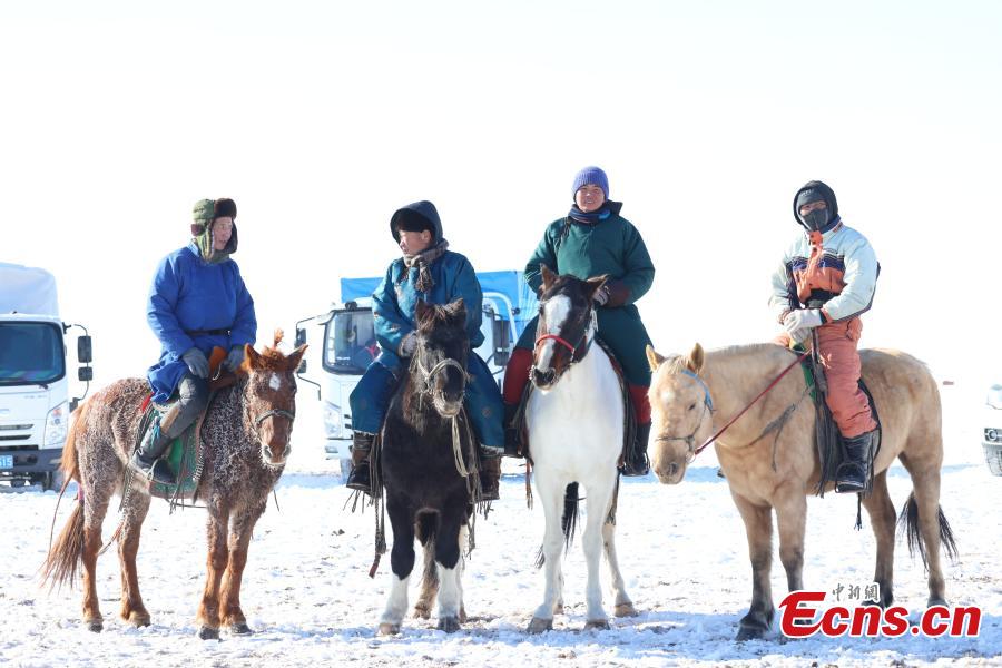 Corsa di cavalli sulle praterie innevate della Mongolia Interna