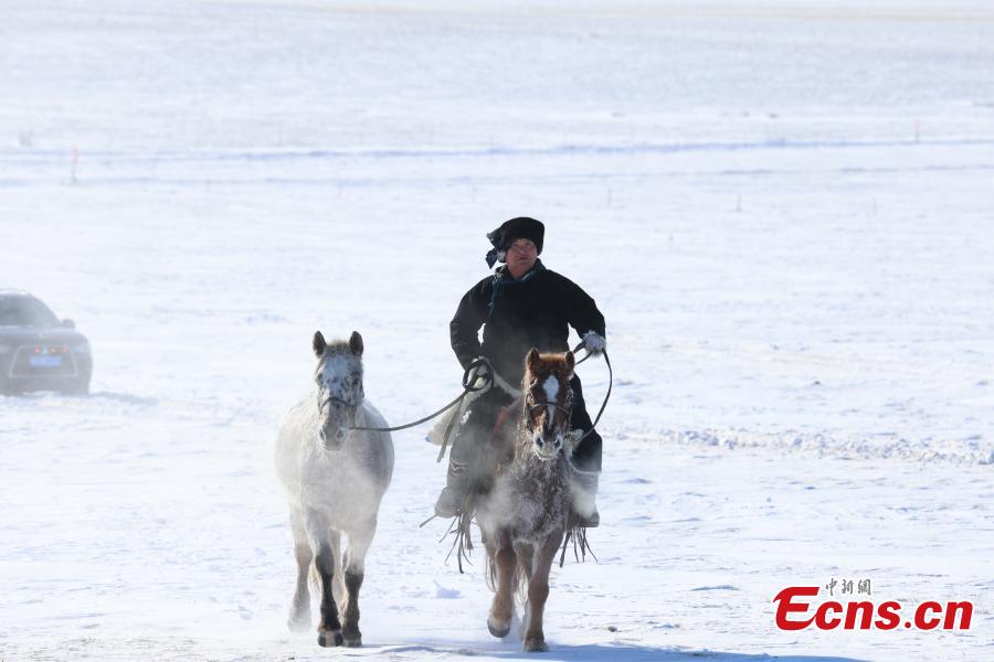 Corsa di cavalli sulle praterie innevate della Mongolia Interna