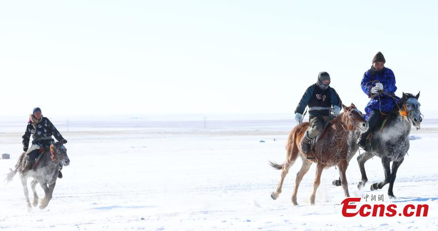 Corsa di cavalli sulle praterie innevate della Mongolia Interna