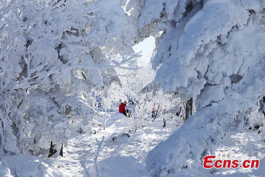 Scenari innevati da sogno nel nord-est della Cina