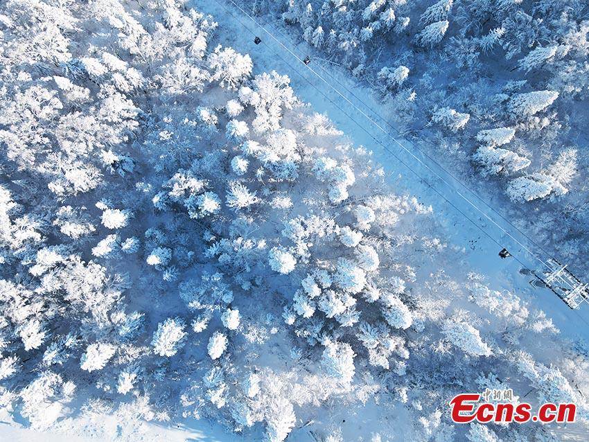 Scenari innevati da sogno nel nord-est della Cina