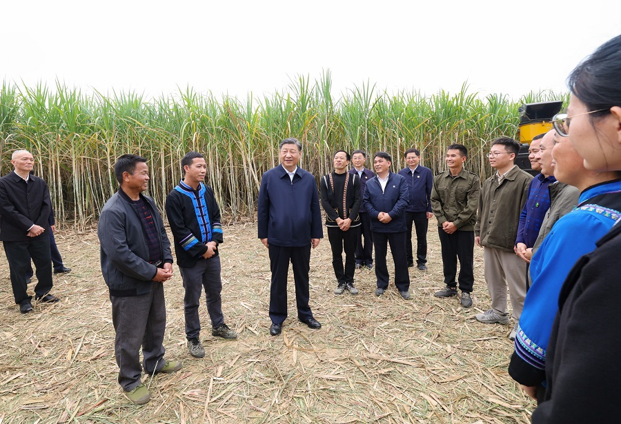 Viaggio d'ispezione di Xi Jinping a Laibin