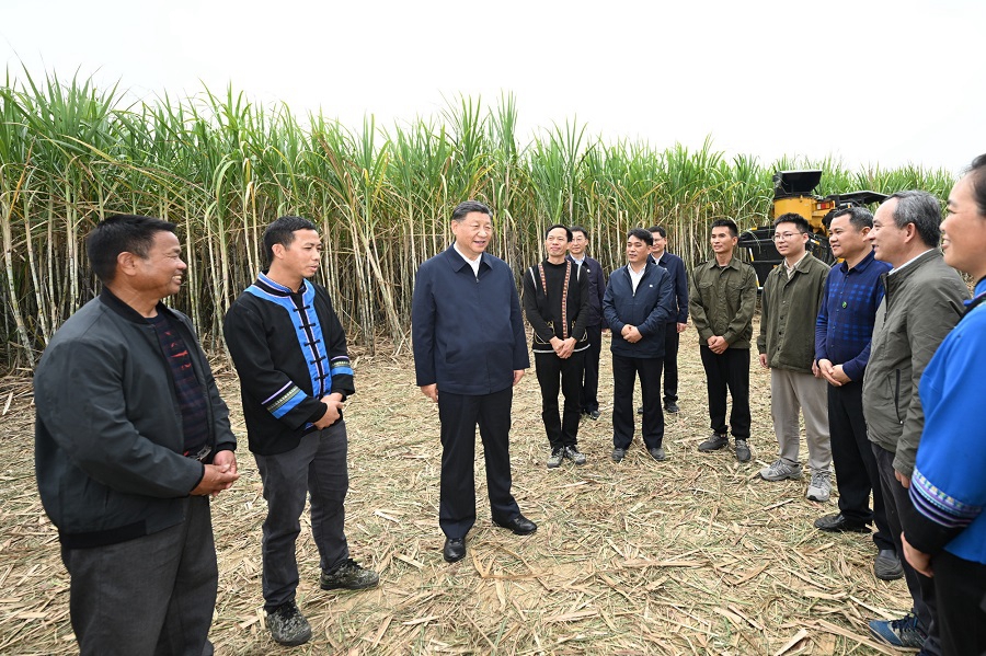 Viaggio d'ispezione di Xi Jinping a Laibin