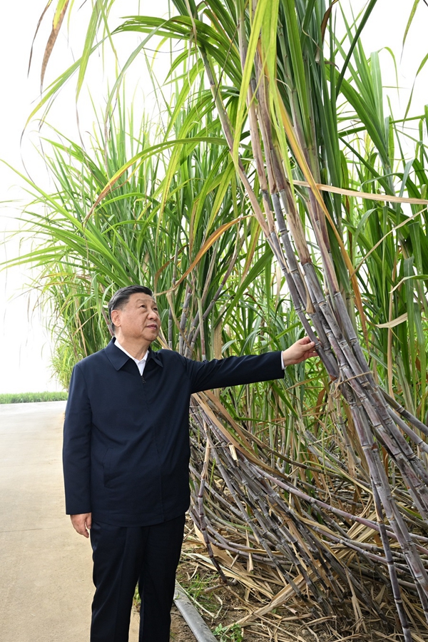 Viaggio d'ispezione di Xi Jinping a Laibin