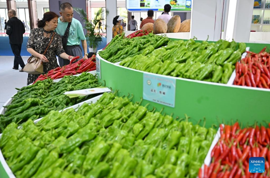 Al via la XXVI Fiera Internazionale Invernale dei Prodotti Agricoli Tropicali della Cina (Hainan)