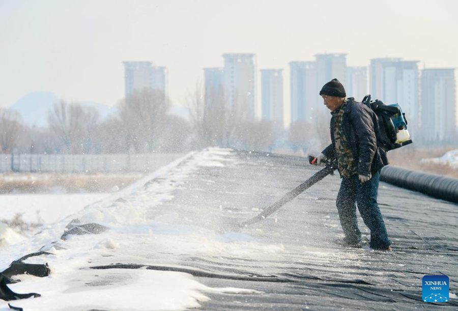 Contea della Cina settentrionale adotta misure per garantire l'approvvigionamento di verdure