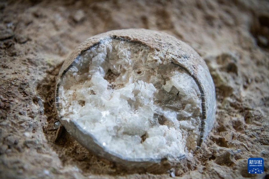 Fossili di uova di dinosauro cristallizzate scoperti per la prima volta nello Hubei