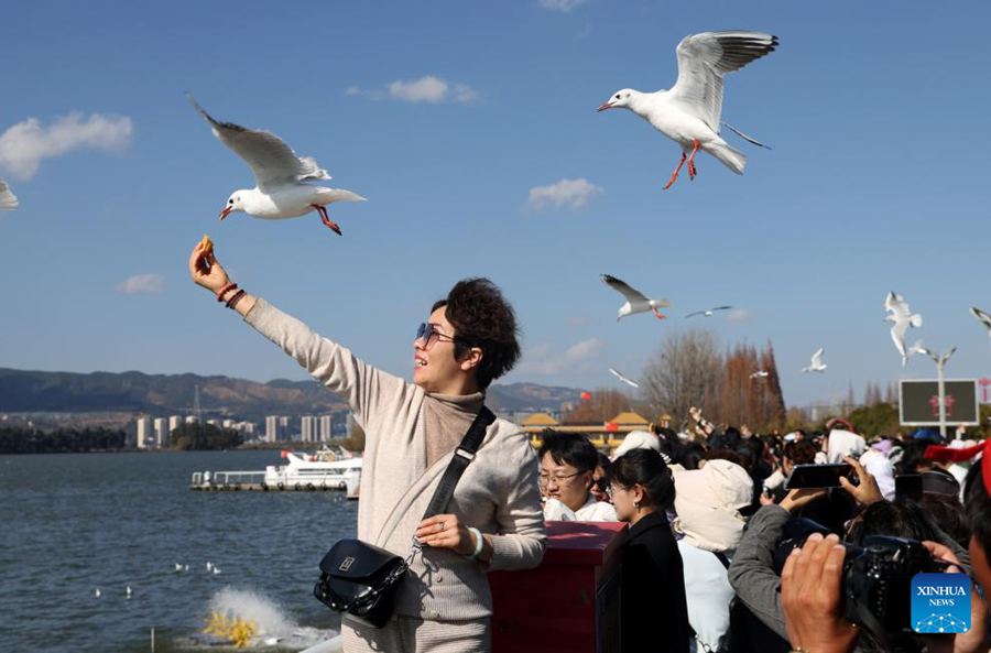 Il clima mite dello Yunnan attira frotte di turisti