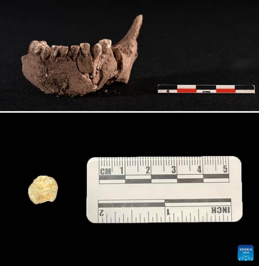 Nuovi ritrovamenti nel Guizhou indicano attività umana preistorica oltre 55.000 anni fa