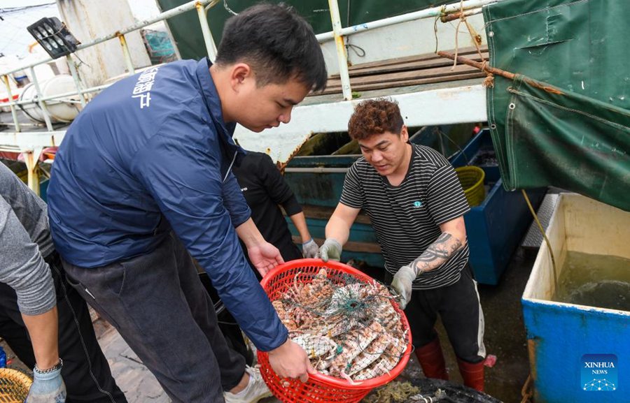 Shenzhen: nuova rotta di consegna di frutti di mare tramite drone