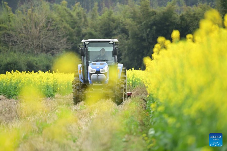 Agricoltori in tutta la Cina impegnati nella produzione agricola con l'avvicinarsi di Yushui