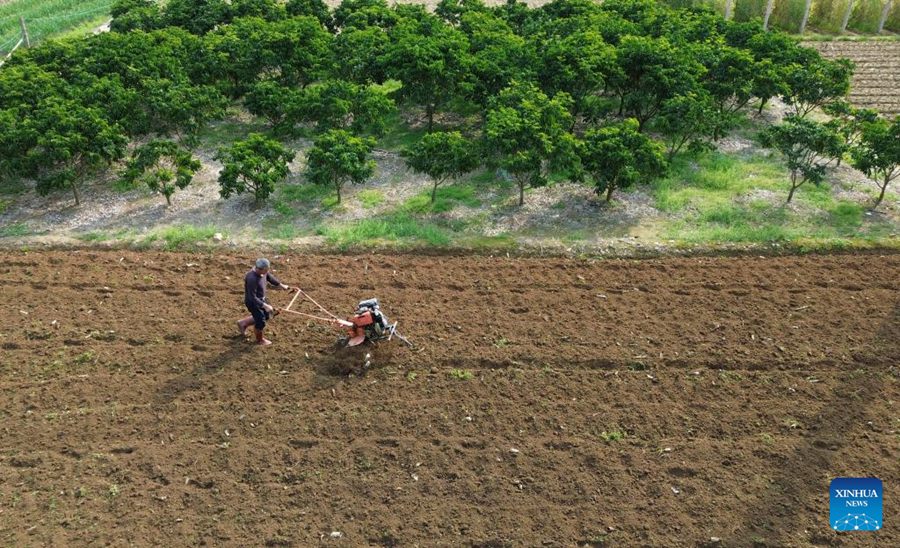 Agricoltori in tutta la Cina impegnati nella produzione agricola con l'avvicinarsi di Yushui