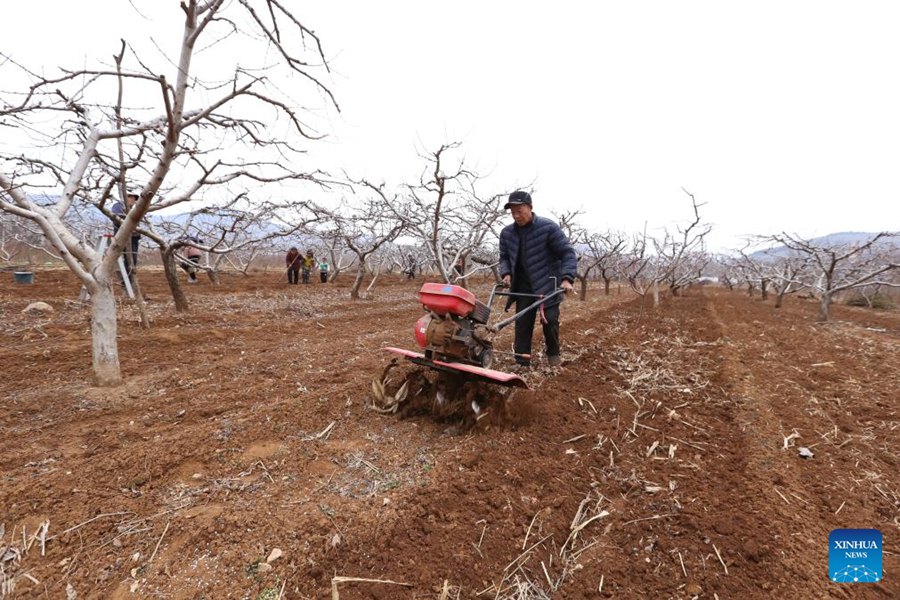 Agricoltori in tutta la Cina impegnati nella produzione agricola con l'avvicinarsi di Yushui