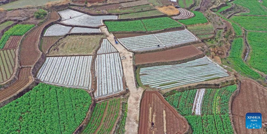 Agricoltori in tutta la Cina impegnati nella produzione agricola con l'avvicinarsi di Yushui