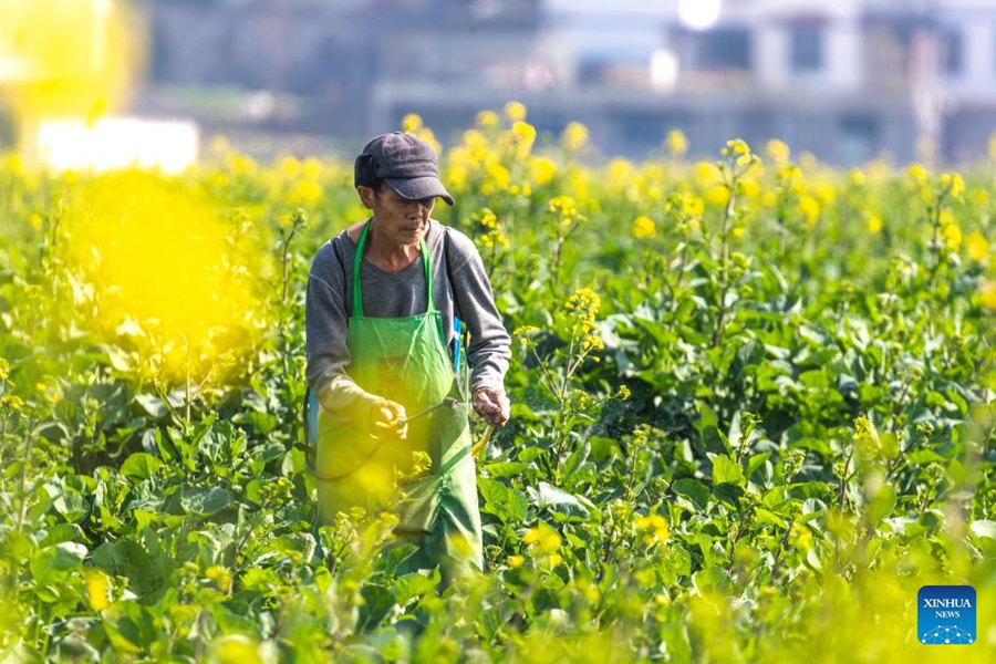 Agricoltori in tutta la Cina impegnati nella produzione agricola con l'avvicinarsi di Yushui