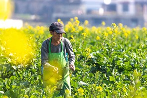 Agricoltori in tutta la Cina impegnati nella produzione agricola con l'avvicinarsi di Yushui