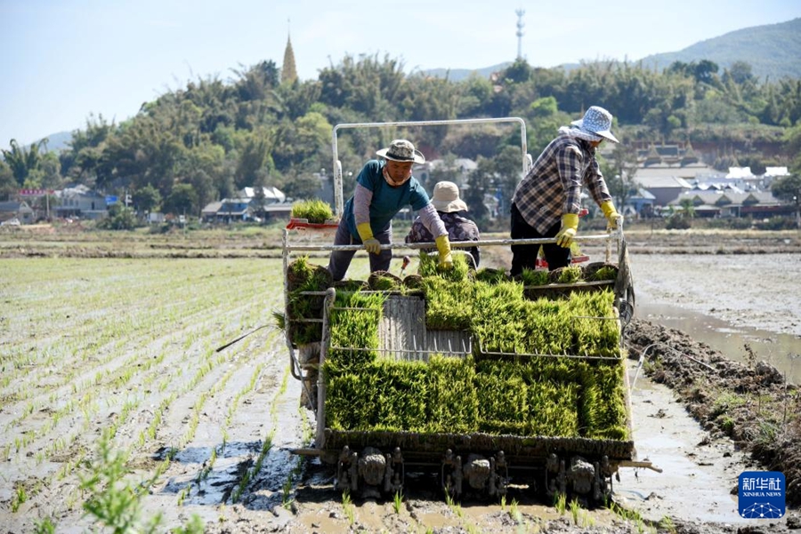 Agricoltori impegnati nelle attività agricole primaverili in tutta la Cina