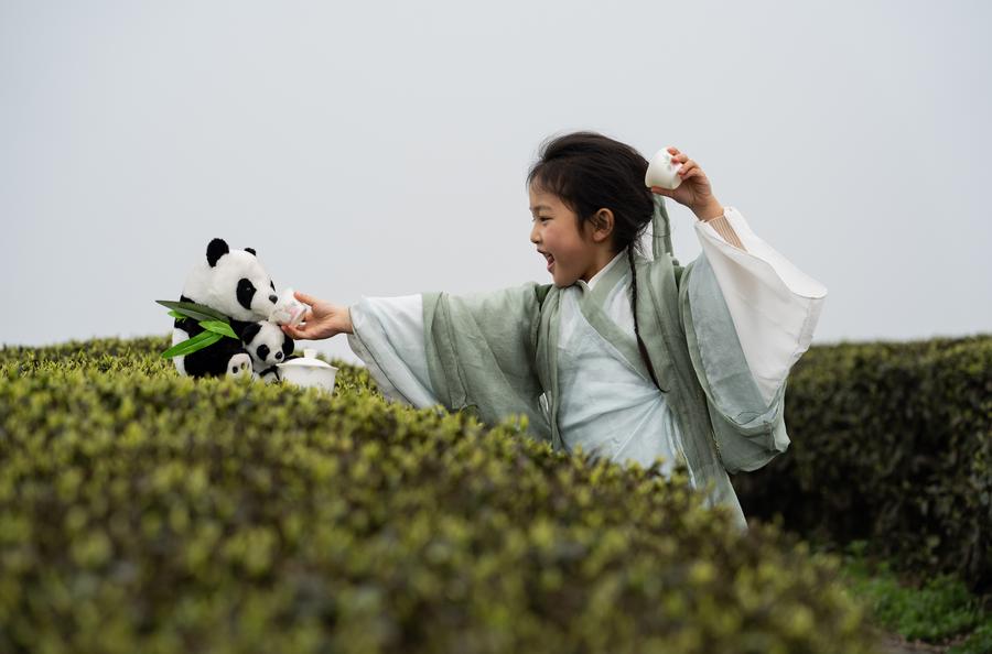 Le industrie del tè potenziano comunità e imprese a Luzhou, Sichuan