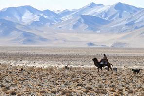 Transumanza primaverile ad Akesai, Gansu