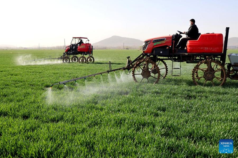 Lavori agricoli primaverili in corso in tutta la Cina