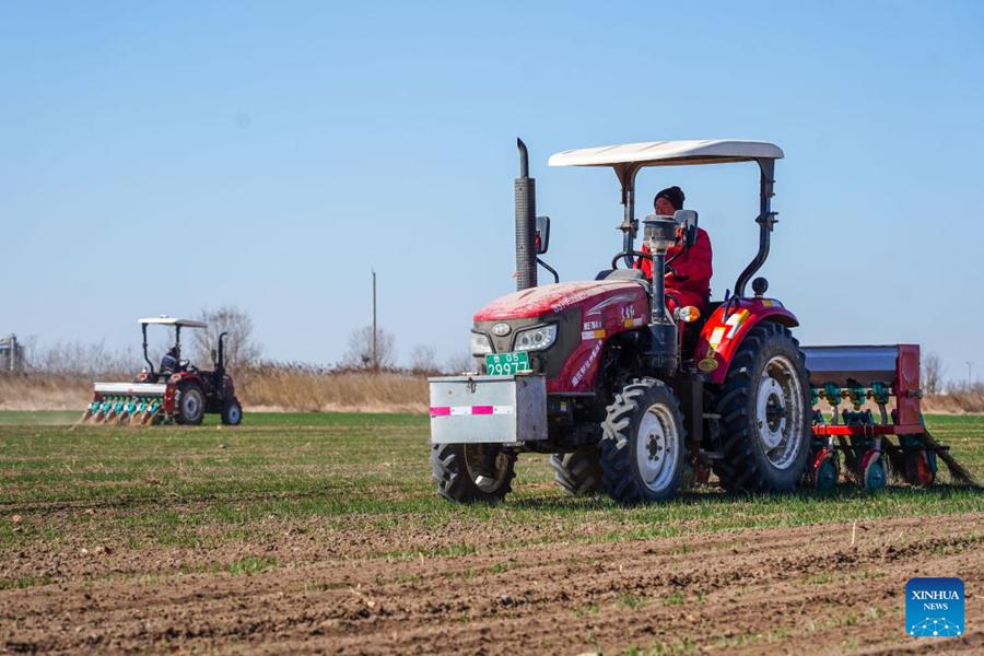 Lavori agricoli primaverili in corso in tutta la Cina