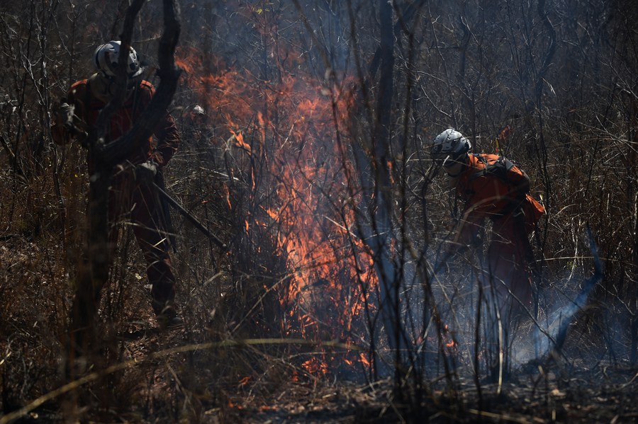 Agenzia dell'ONU lancia allarme rosso sul clima